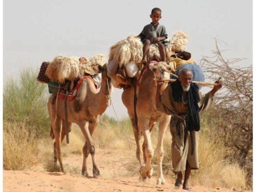 Kidal : La France parjure prépare le terrain au massacre touareg