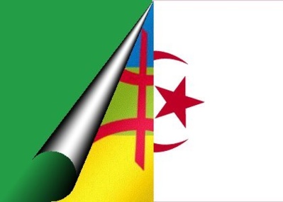 Journées pour Tamazights sur Berbère TV : Le ministre du GPK, Nafa Kireche face à Hacène Hireche