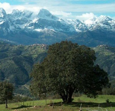 Par Sakina Ait Hmed :« Quel avenir pour la Kabylie? »