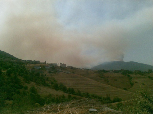Kabylie : Incendie gigantesque dans la forêt de Sidi Ali Bounab