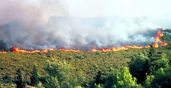 Week-end d’enfer à Vgayet : plus d'une trentaine de foyers d'incendies simultanés dans une dizaines de localités