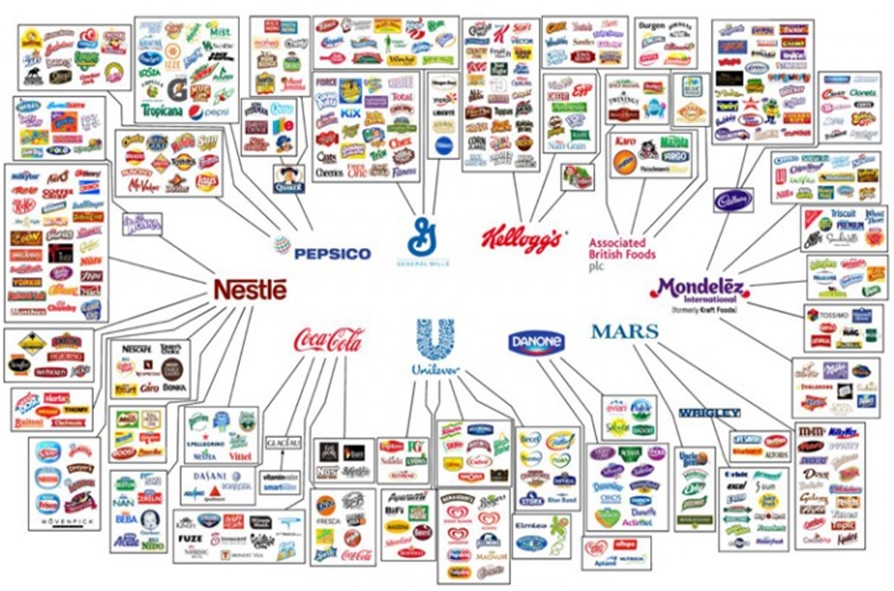 " La Kabylie et son pôle d'ingénierie", une contribution de Slimane Hallah 