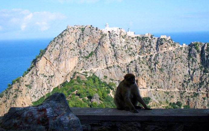 Vgayet, Cap Carbon: le plus haut phare naturel du monde se trouve en Kabylie