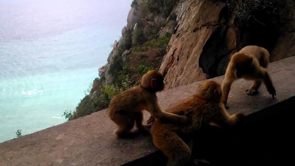 Vgayet, Cap Carbon: le plus haut phare naturel du monde se trouve en Kabylie