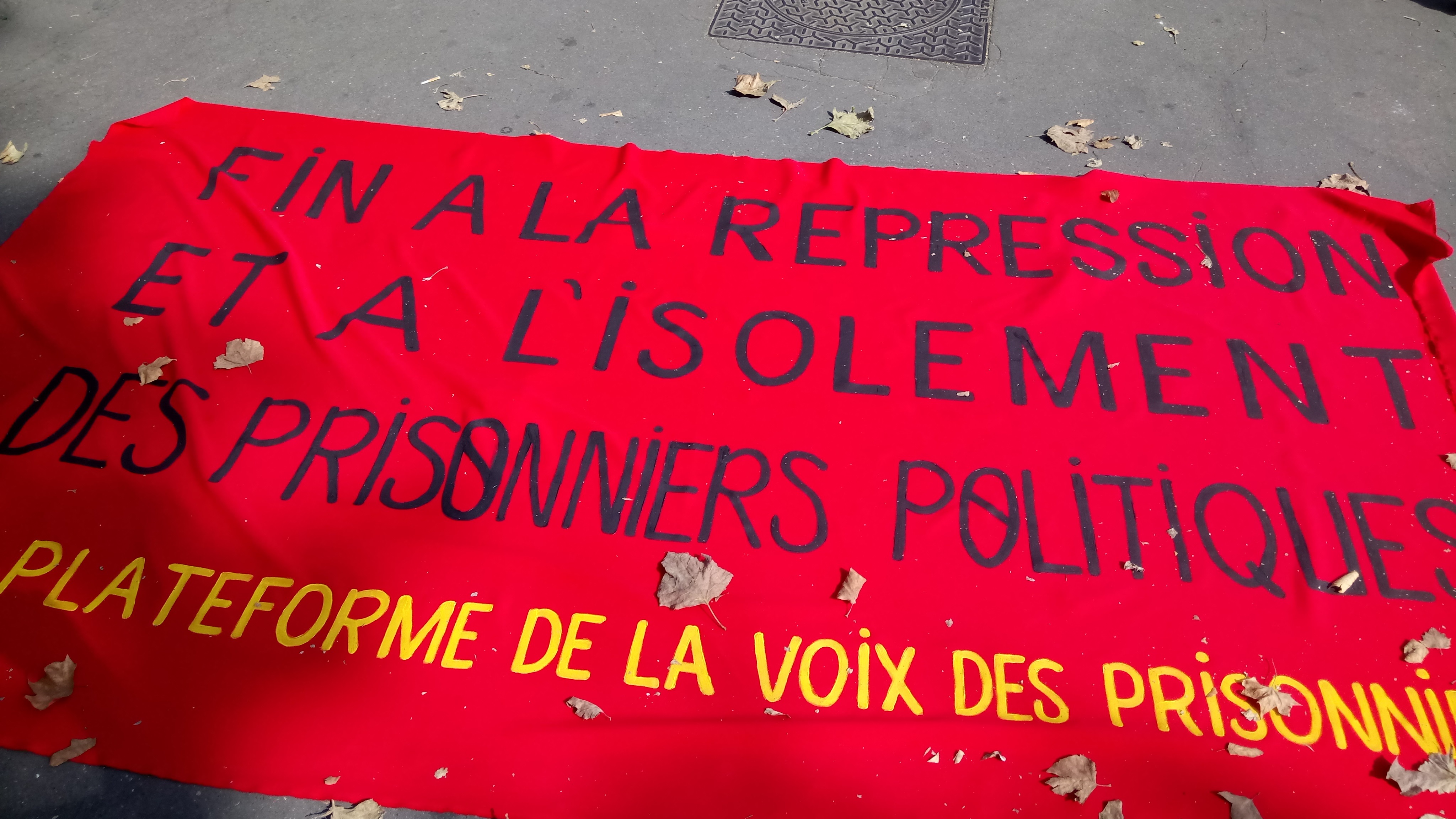 Marche kurde à Paris  : La Kabylie présente, en soutien à "une solution politique pour le Kurdistan"
