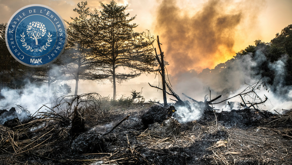 Centre Kabyle de l'Environnement : "Halte au massacre écologique de la Kabylie"