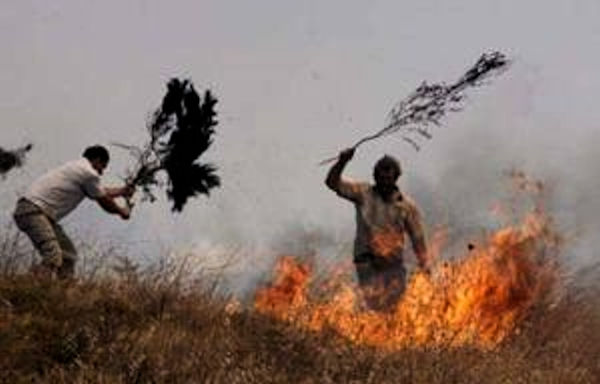 C’est en Kabylie qu’il y a eu le plus d’incendies en 2016 selon la direction algérienne des forêts