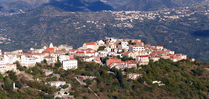 © Photo Tarik Aliouchouche