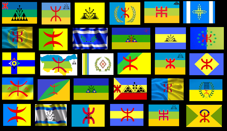 Election du drapeau kabyle, le samedi 26 avril 2014. (PH/DR)