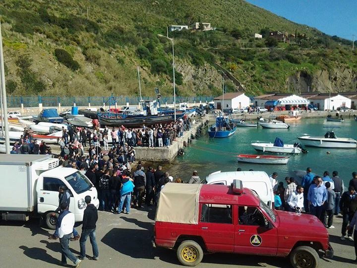 Kabylie : une baleine s’échoue sur les côtes d’Azeffun