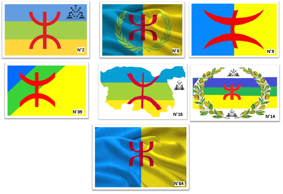 Le drapeau kabyle : résultats des premières consultations et prochaines échéances électorales