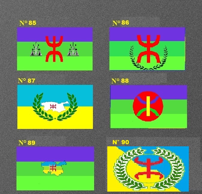 7  et 21 juin 2014: Election du drapeau Kabyle à Tifrit (Akbou) et Maraghna (Ilulen Umalu) 
