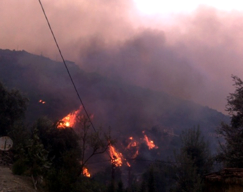Comme beaucoup d'autres fléaux, les incendies touchent particulièrement la Kabylie (Archives/ PH/DR)