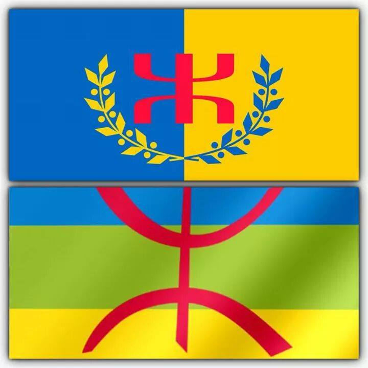 Vive le drapeau kabyle  qui flottera à côté du drapeau Amazigh: Contribution de Kahina Taqvaylit