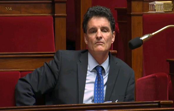 Paul Molac,  Député Union démocratique bretonne (UDB) Membre de la Fédération Régions et Peuples solidaires (PH/Assemblée nationale)
