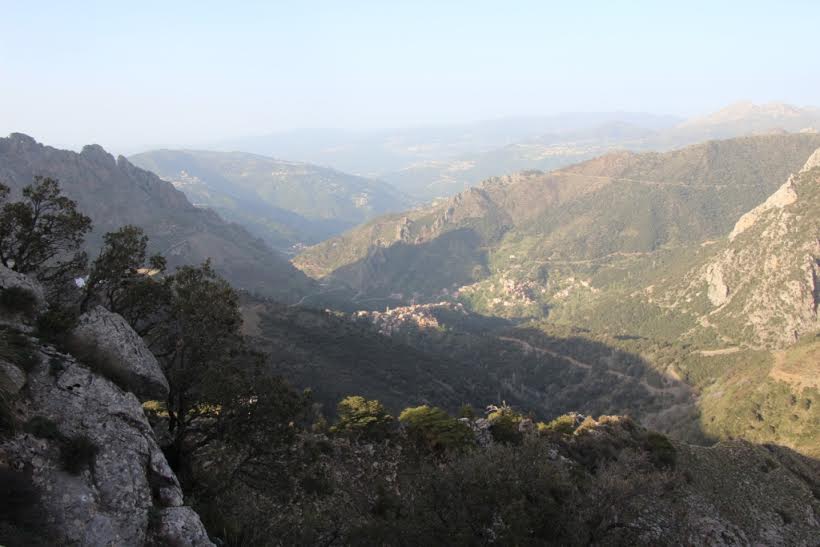 Commémoration du 20 avril: Tirurda,  sur les traces de la Numidie