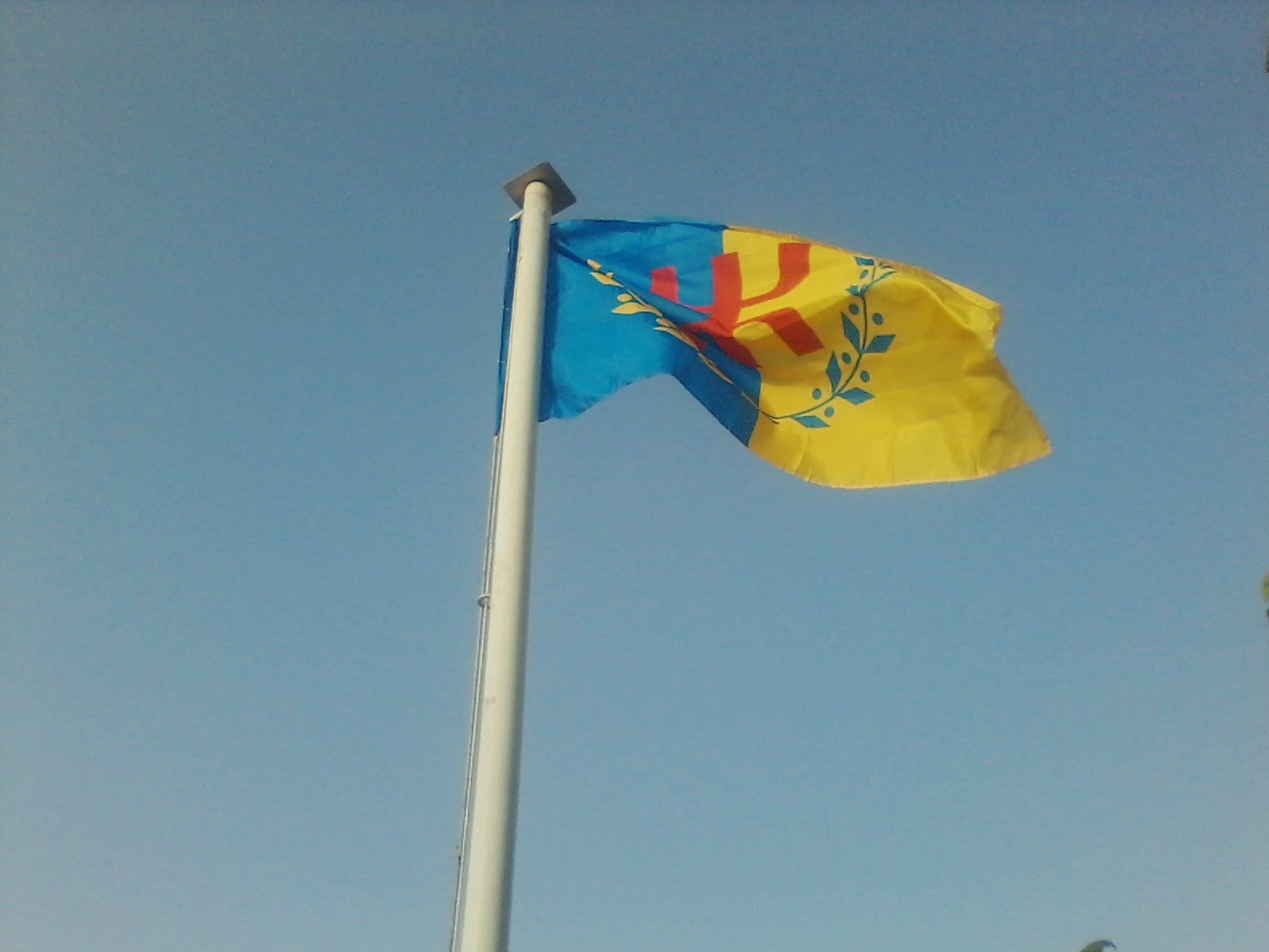 At Zellal sous Laɛnaya du drapeau kabyle