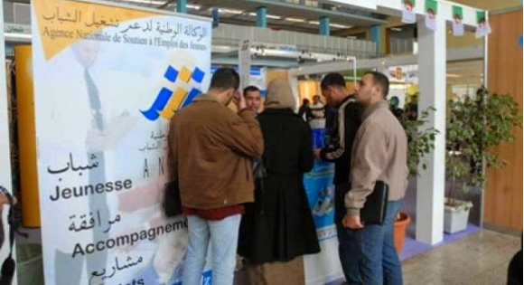 Tizi-Ouzou : Les promoteurs ANSEJ, CNAC et ANGEM marcheront le 22 novembre