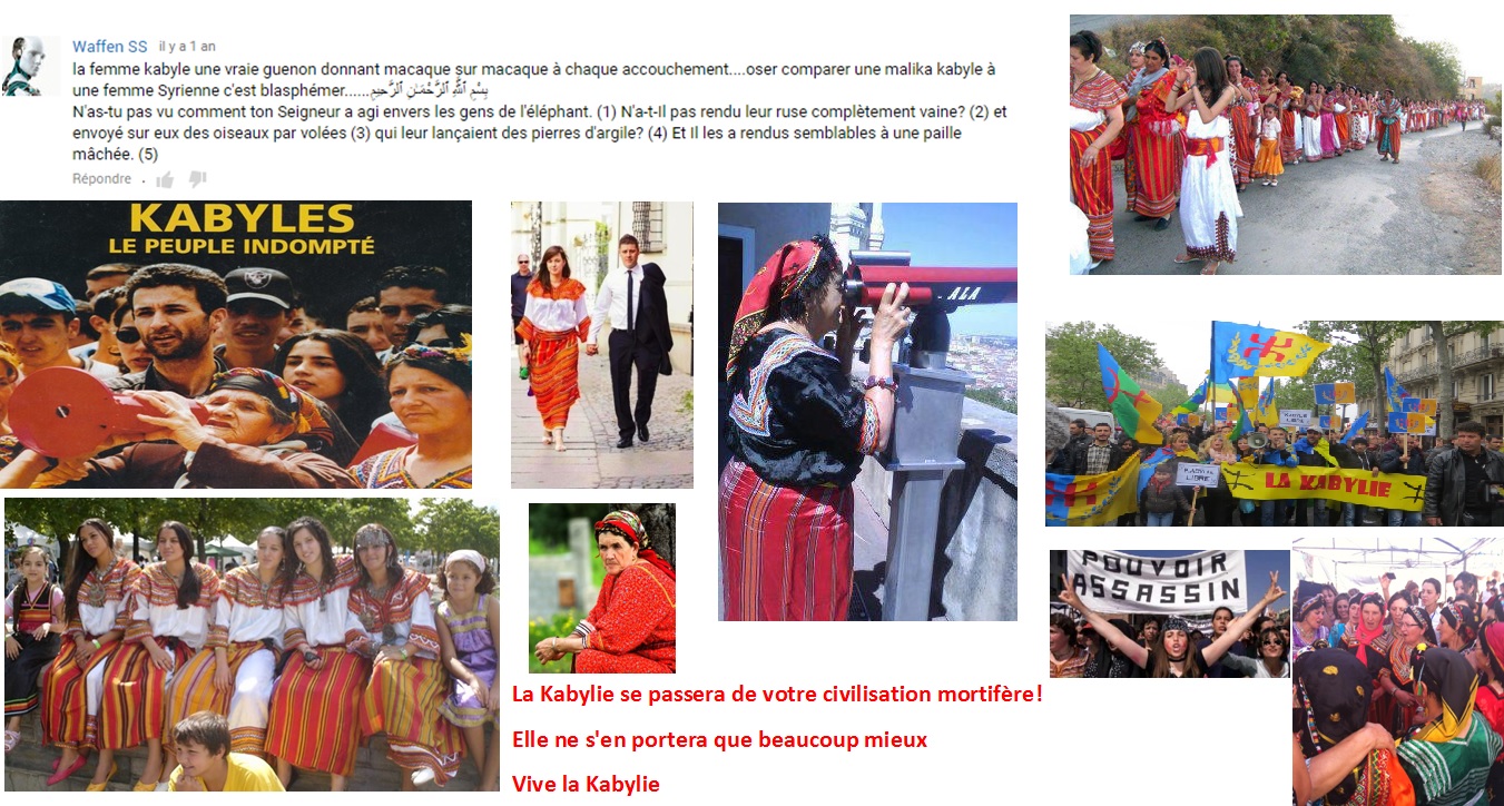 Insolite et révélateur : un internaute algérien réagit à l'implication des femmes kabyles dans le combat pour la libération de la Kabylie