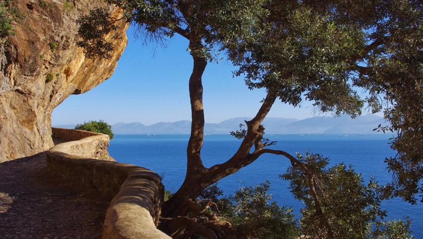 Vgayet, Cap Carbon: le plus haut phare naturel du monde se trouve en Kabylie