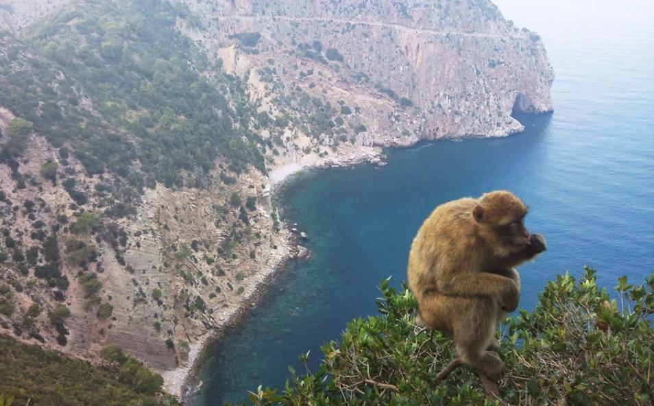 Vgayet, Cap Carbon: le plus haut phare naturel du monde se trouve en Kabylie