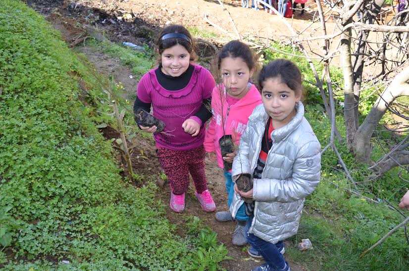 Wihinun / Journée internationale de l'arbre : L'association BRAIN organise une formation au profit des enfants