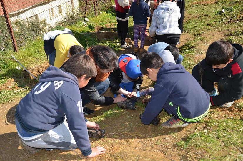 Wihinun / Journée internationale de l'arbre : L'association BRAIN organise une formation au profit des enfants