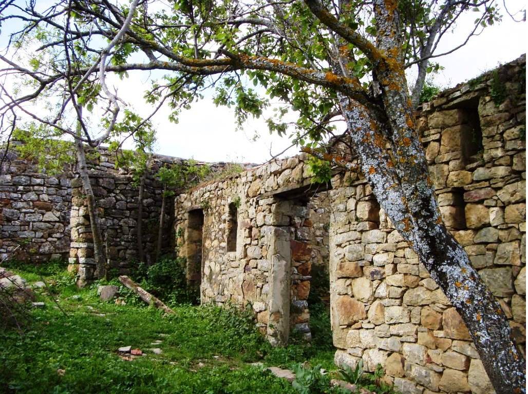 La nécessité de rebâtir et moderniser l’État Kabyle. Par Yidir. A