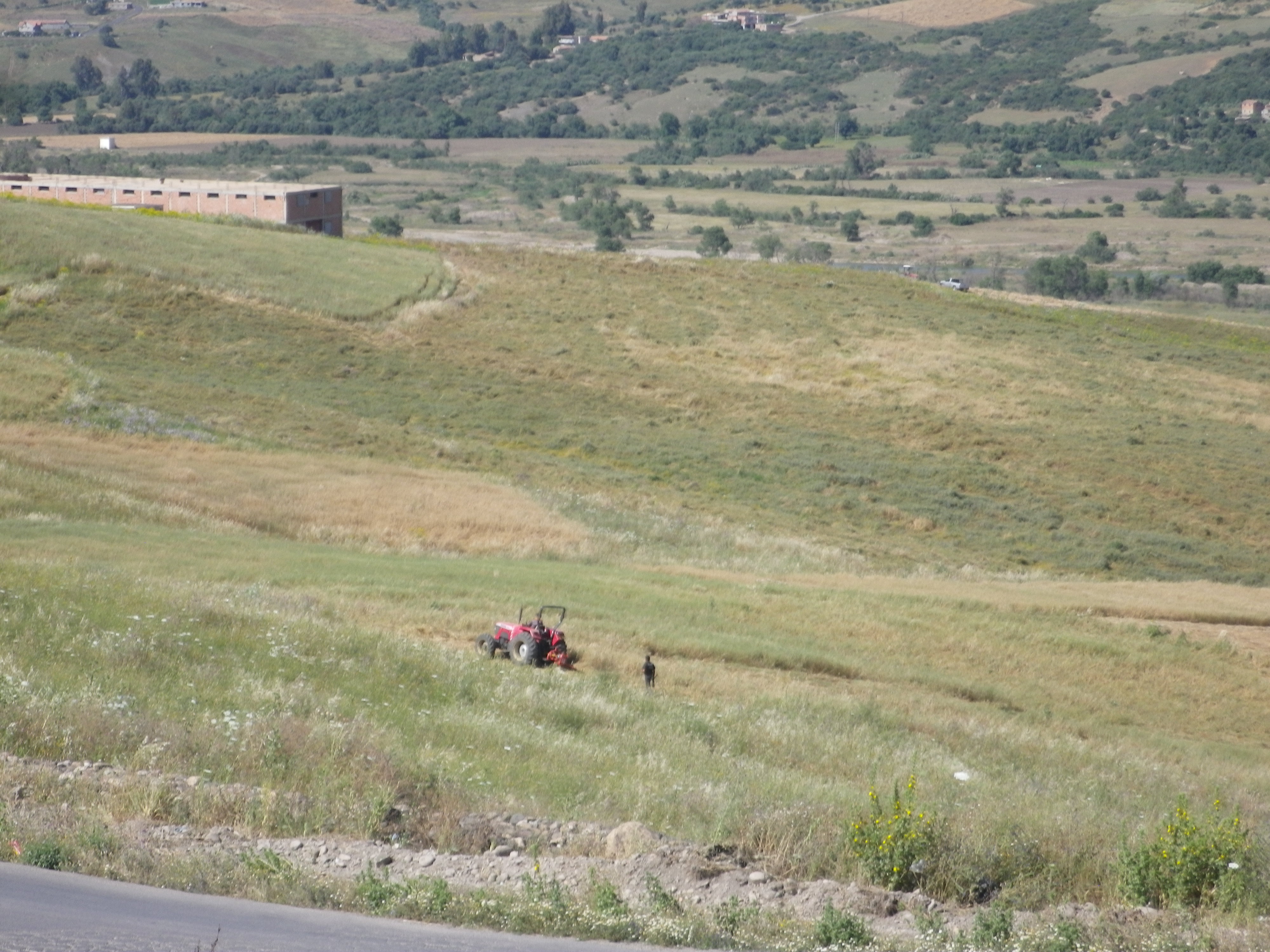 At Zellal : Les citoyens empêchent la visite du premier ministre algérien