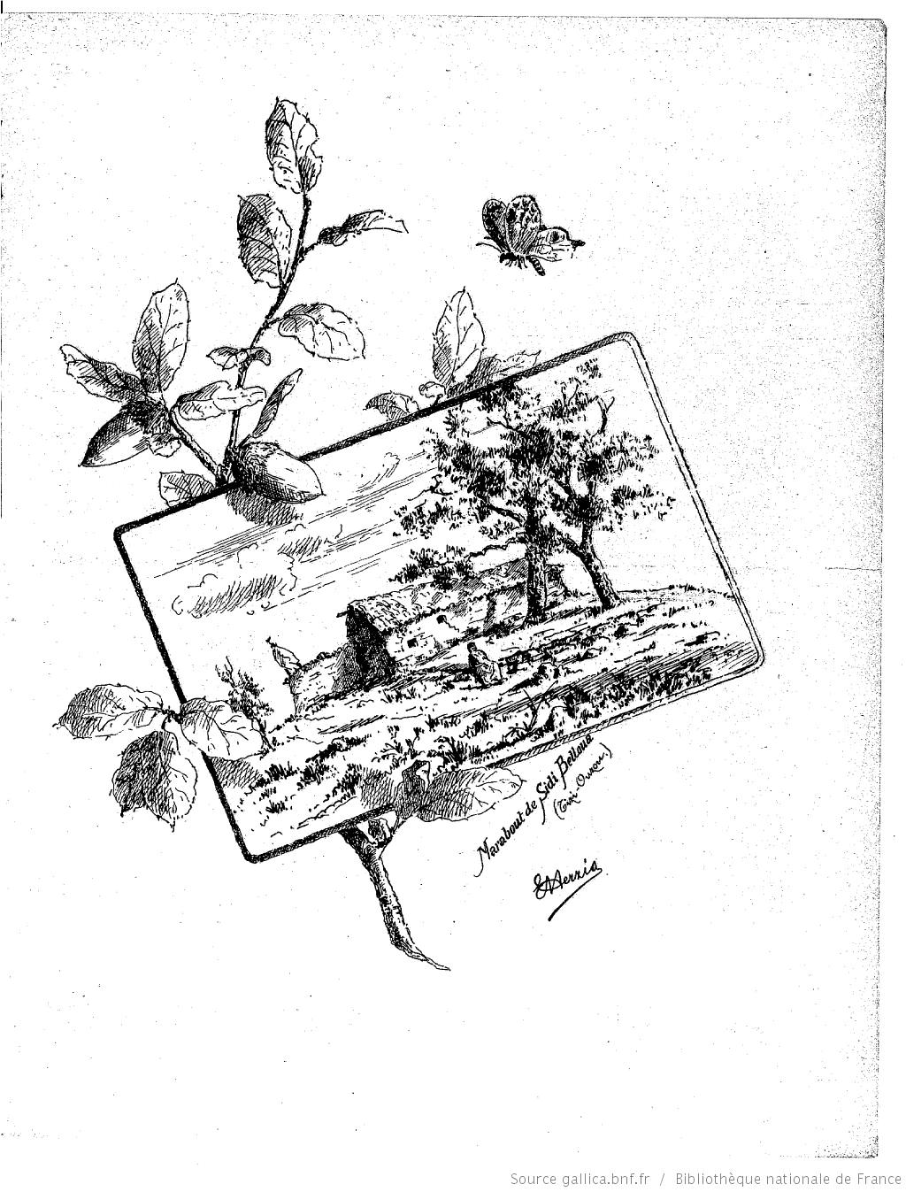 " La Kabylie pittoresque " N°3 _ 20 Mars 1887