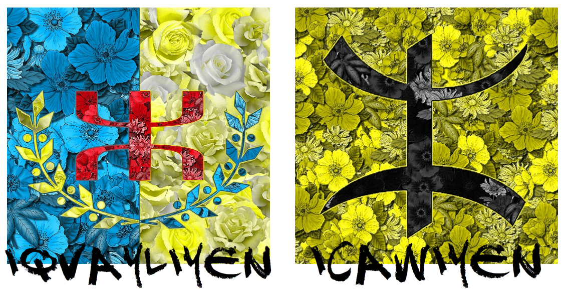 Drapeau kabyle - Drapeau chawi (PH/DR)