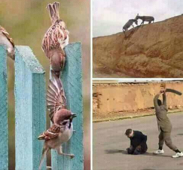 Exemple d'image partagée par Slimane Bouhafs (PH/DR)