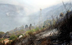 Des incendies de forêts ravagent la région de Bejaia