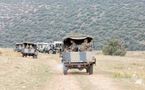 Kabylie: les militaires utilisent des singes pour faire exploser des bombes pièges