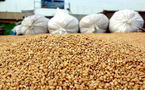 L'Algérie a doublé ses importations de blé durant la semaine dernière