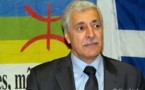 L'Anavad qualifie les députés issus de la Kabylie d'« indus élus »