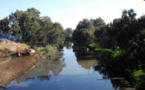 Daewoo Engineering &amp; Construction a gagné un contrat pour nettoyer le fleuve El Harrach