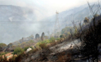 Feu de forêt à Tizi-Ouzou : 196.5 hectares détruits par les flammes