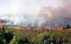 Algérie : plusieurs feux de forêt signalés aujourd’hui en Kabylie (papier d’angle)
