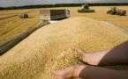 L'Algérie importe en urgence au moins 400.000 tonnes de blé dur