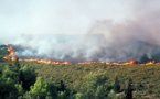 AQVU : un collectif citoyen contre les feux de forêts est né