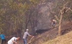 Incendies en Kabylie: les feux de forêts se poursuivent et ravagent plusieurs localités de Tizi-Uzu