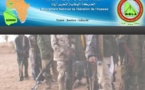 Mali : le MNLA appelle la communauté internationale à « exercer un contrôle » sur l'armée malienne