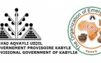 La Kabylie admise au sein de l’Organisation des Etats Africains Emergents (OEAS)