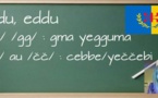 ASAΓ GER USEKKIL AWEZLAN AZENZAΓ D USEKKIL AΓEZFAN AGGAΓ : Le système de transcription yura s teqvaylit‏. CONTRIBUTION SAKINA AIT AHMED