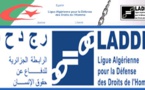 Un rapport fleuve de la Ligue algérienne des droits de l'Homme...pour noyer le poisson !