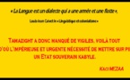 "Aux Kabyles d’officialiser le kabyle", une contribution de Kaci MEZAA