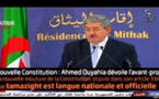 Tamazight langue "officielle" : 46 postes en Tamazight ouverts contre 502 en arabe à... Tizi-Ouzou !