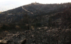 Un incendie gigantesque a dévasté le Parc de Gouraya : Réaction du Centre Kabyle de l'Environnement