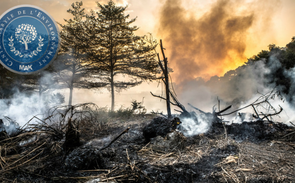 Centre Kabyle de l'Environnement : "Halte au massacre écologique de la Kabylie"